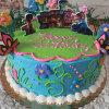 SC-011 Encanto: A round, colorful birthday cake with flowers, butterflies, Encanto characters, and "Happy Birthday" in pink icing on top.