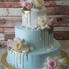 The TC-014 is a two-tiered cake with light blue and white icing, pink and white roses, white seashells, and gold icing drips. It sits on a gold board against a rustic wooden background.